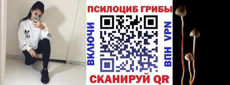 Галлюциногенные грибы Magic Shrooms  Котово 